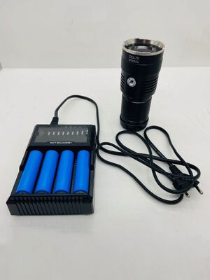 Torch LED UV Light Ultraviolet Lamp High-Power 365nm Ultraviolet Band LED Lamp